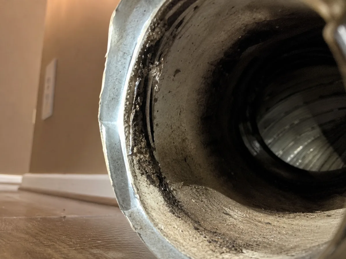 Air Duct Mold Removal in Los Angeles, CA